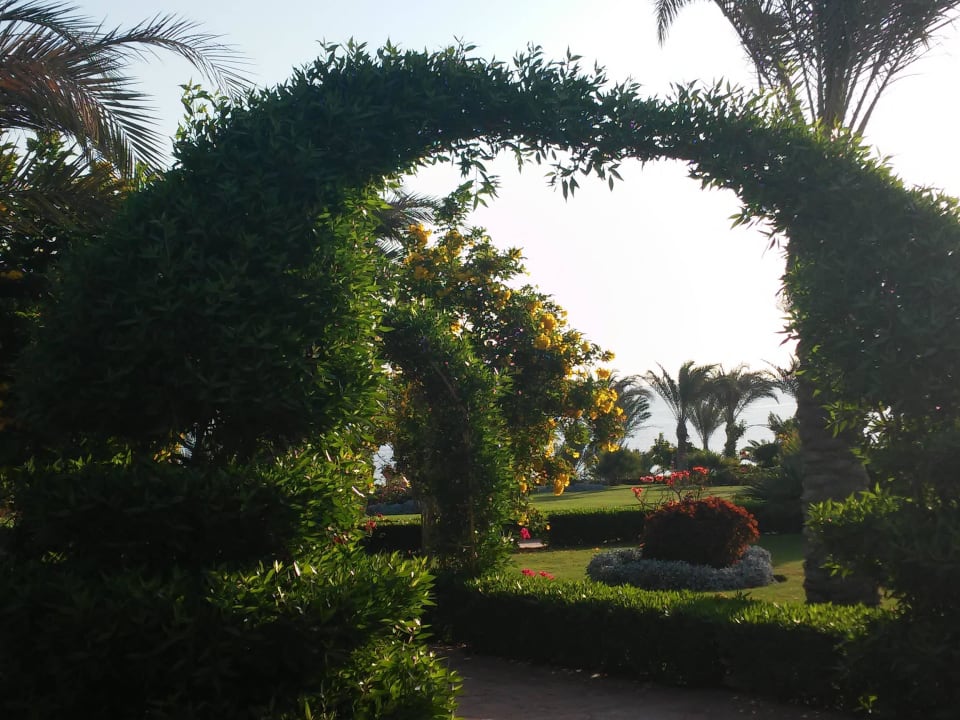 Weg zum Strand Fantazia Resort Marsa Alam