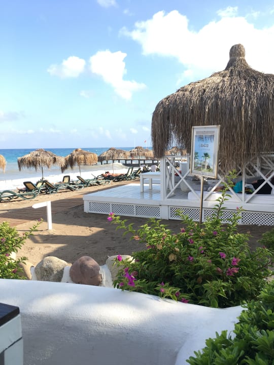 Strand Balmy Foresta