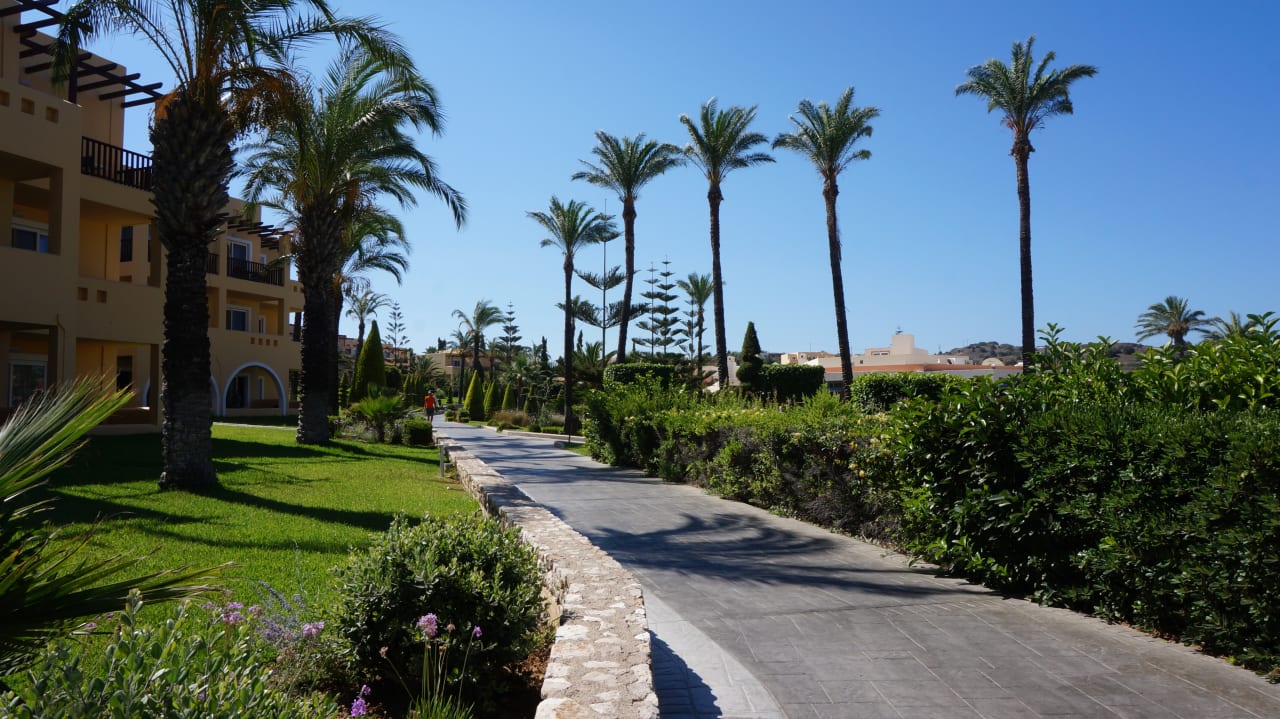 Gartenanlage Hotel Horizon Beach Resort