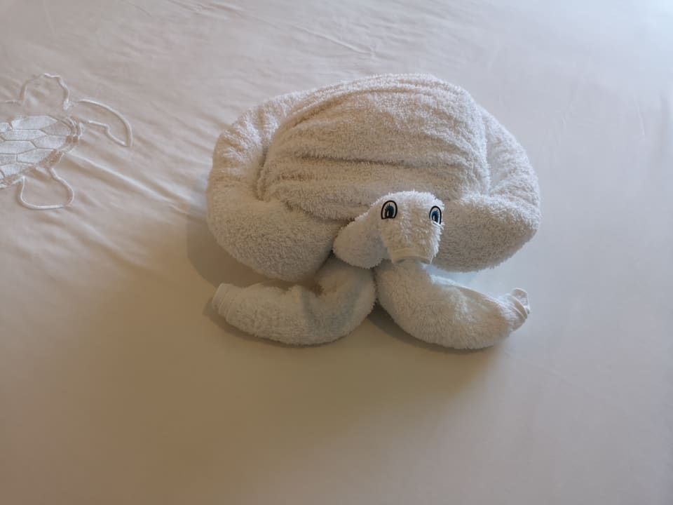 Zimmer Akumal Bay Beach & Wellness Resort