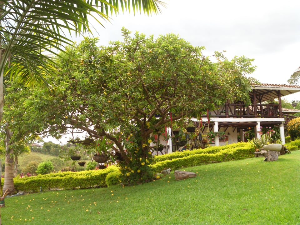 Gartenanlage Akawanka Lodge