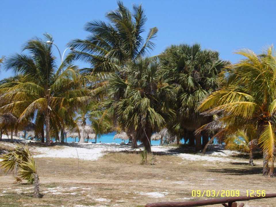 Blick vom Strandrestaurant Richtung Meer Hotel Villa Cuba