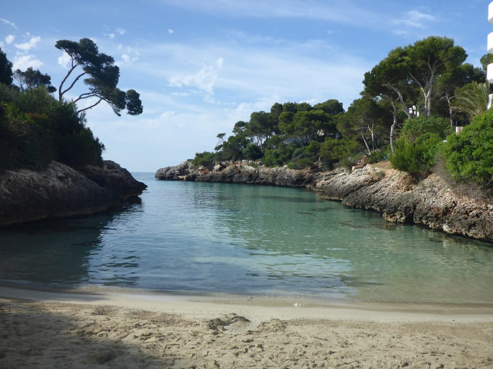 Strand Calimera Fido Gardens