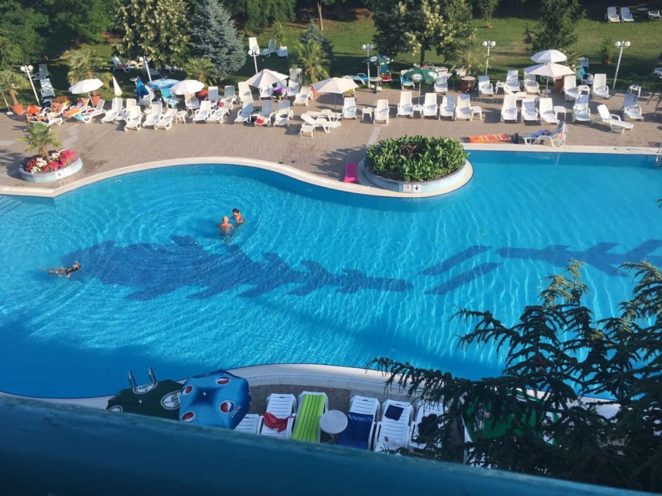 Pool Hotel Zefir Beach
