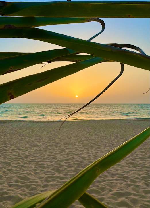 Strand Hotel Riu Baobab - All Inclusive