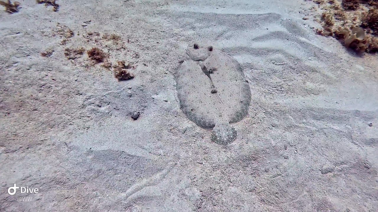 Strand Lagoon Attitude - Adults only