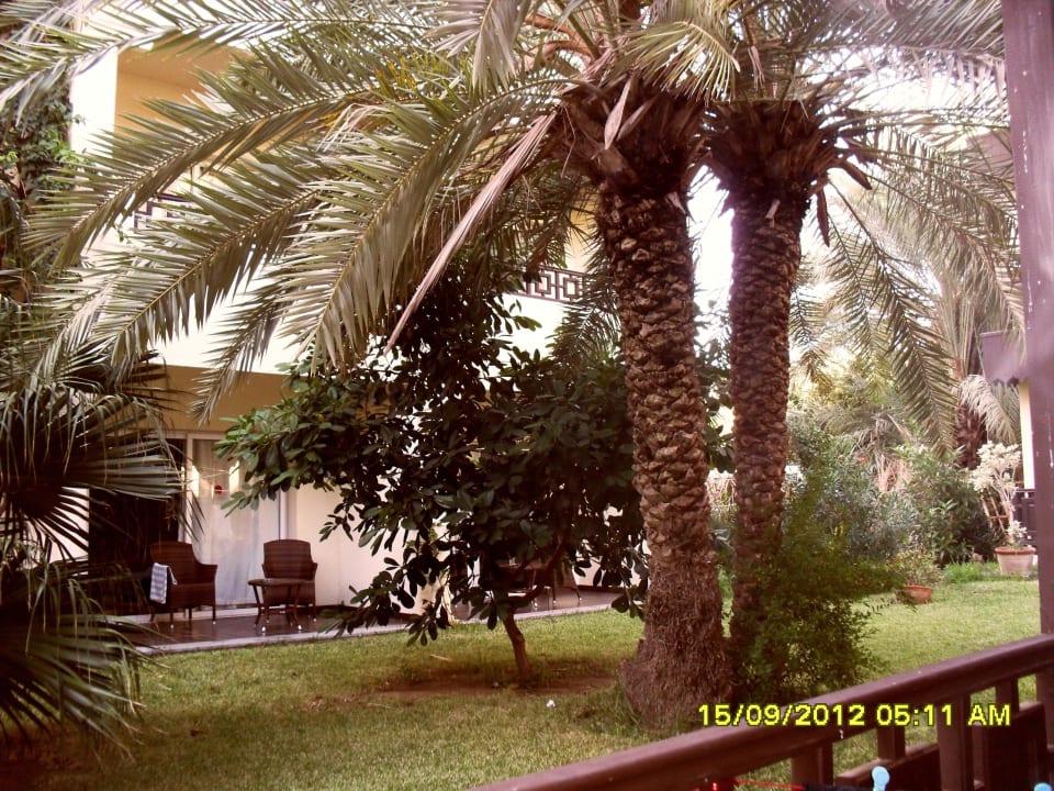 Zimmerausblick in den schönen Garten Hotel Paradis Palace