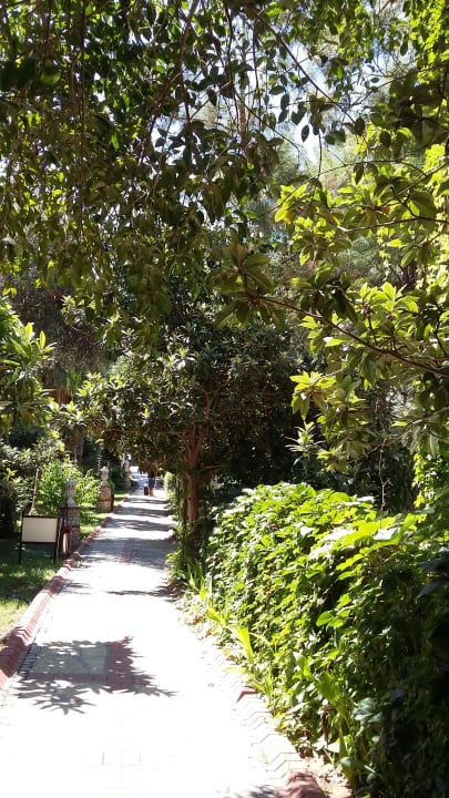 Garten  Ölüdeniz Beach Resort by Z Hotels