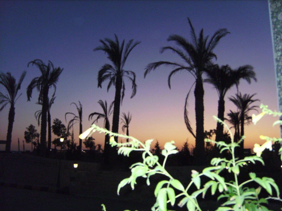 Sonnenuntergang Pensée Royal Garden Beach Resort