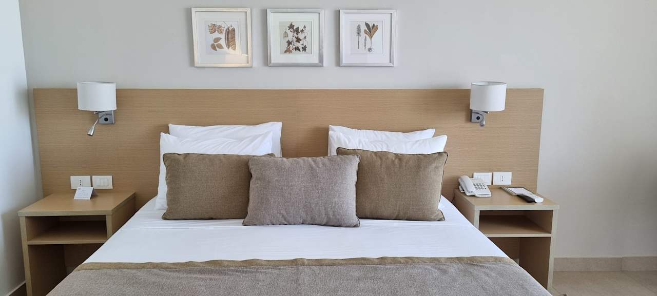 Zimmer JAZ Elite Asteria