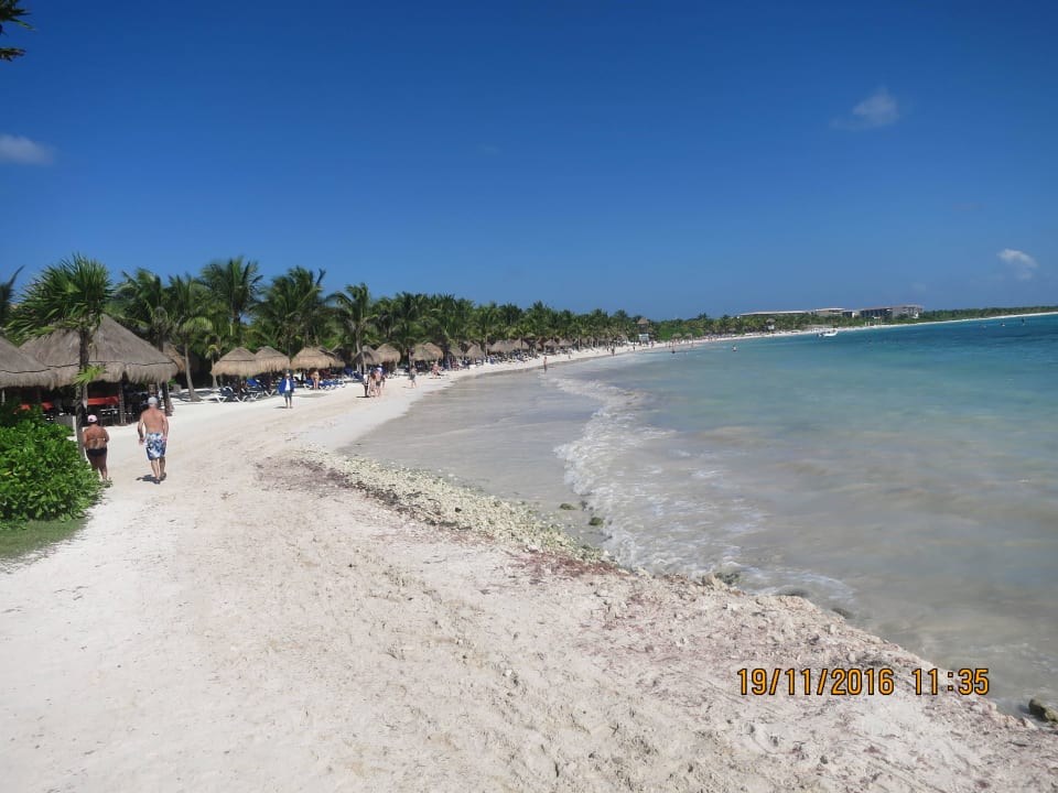 Strand - Spaziergang Grand Palladium Riviera Maya