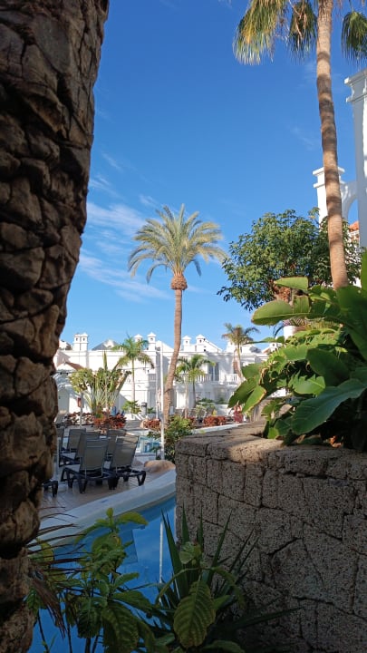 Gastro Los Olivos Beach Resort