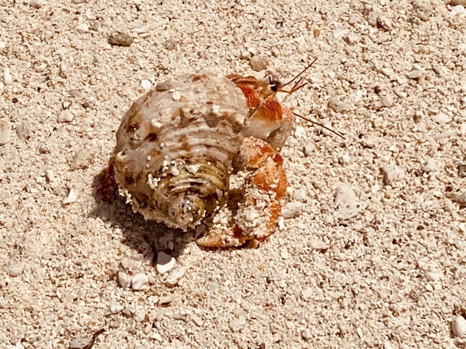 Strand Adaaran Select Hudhuran Fushi - Premium All Inclusive