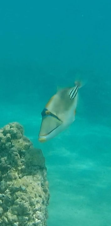 Strand Pickalbatros Villaggio Resort - Portofino