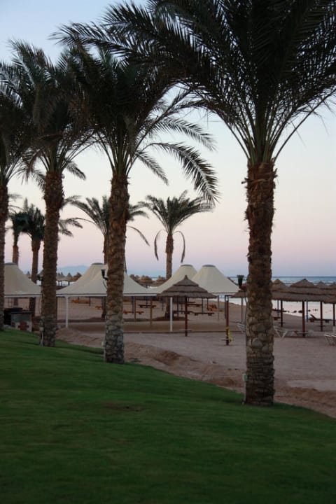 View Rixos Sharm El Sheikh Adults Only 18 +