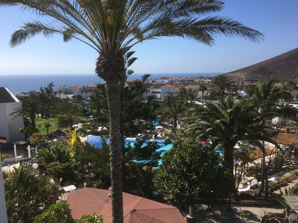 Ausblick allsun App.-Hotel Esquinzo Beach