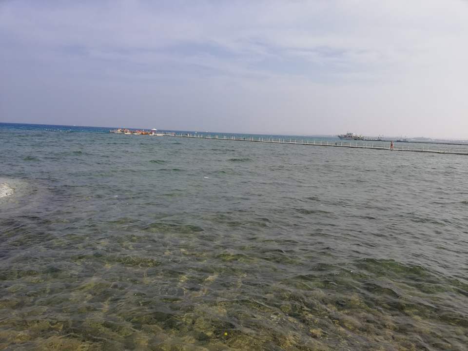Strand Pickalbatros Palace Resort