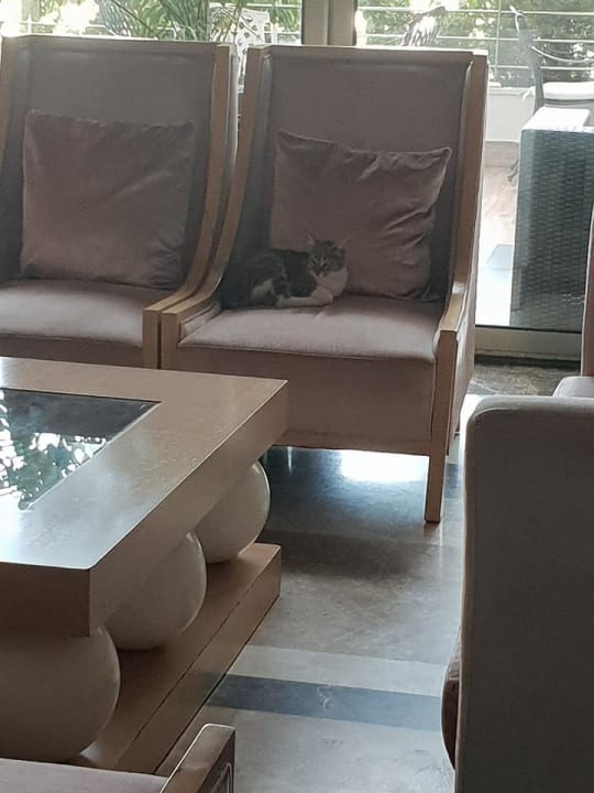 Sonstiges Castival Hotel