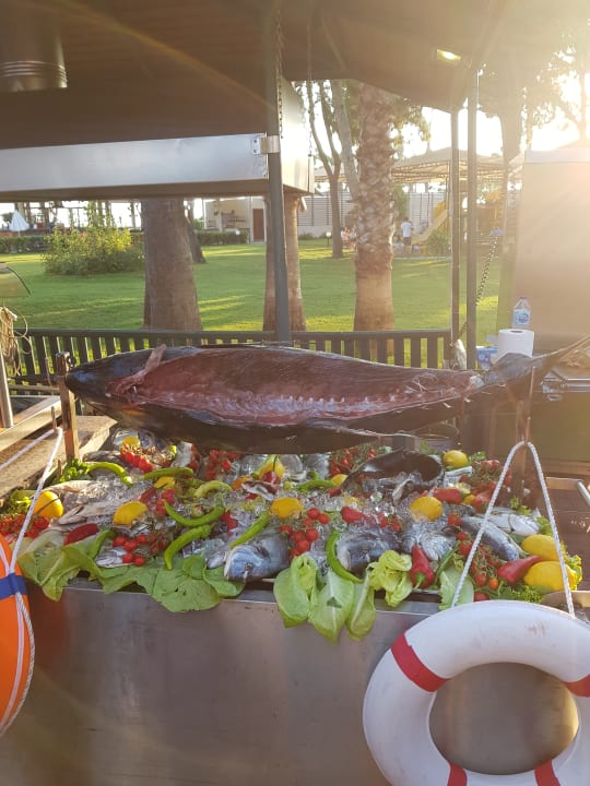 Gastro Labranda Alantur Resort