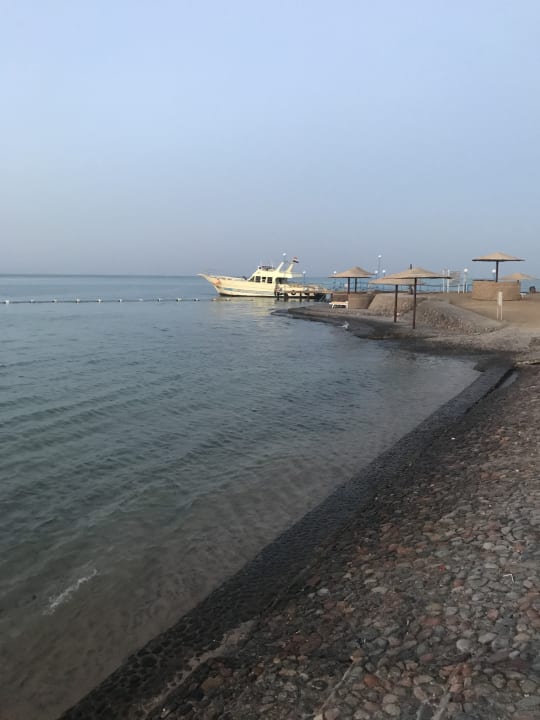 Strand Sea Star Beau Rivage