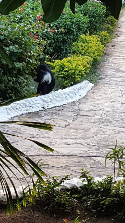 Sonstiges Hotel Southern Palms Beach Resort