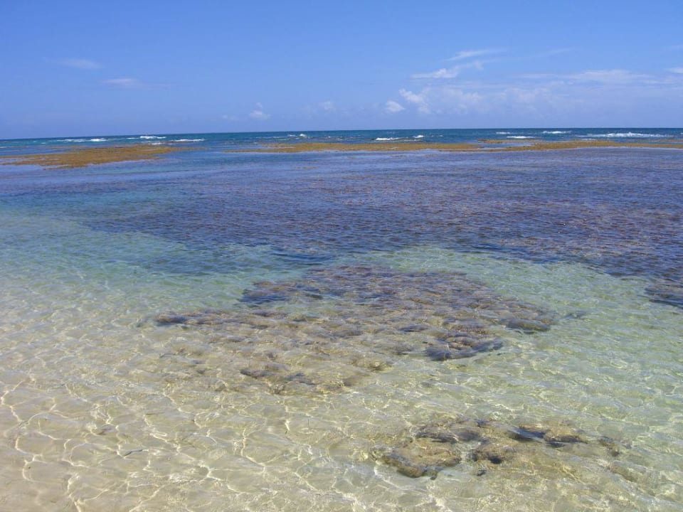 Hotelstrand Bahia Principe Grand El Portillo
