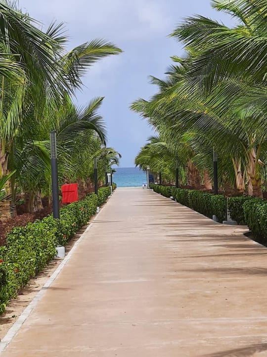 Gartenanlage Hotel Riu Palace Boavista