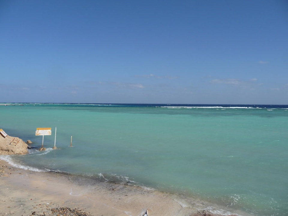 Ten kolor Blue Reef Red Sea Resort