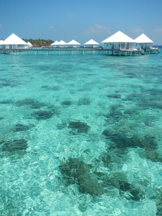 Blick auf Wasserbungis Diamonds Thudufushi