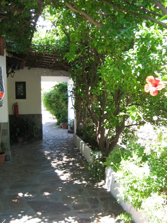 Außenansicht Hotel Golden Sun