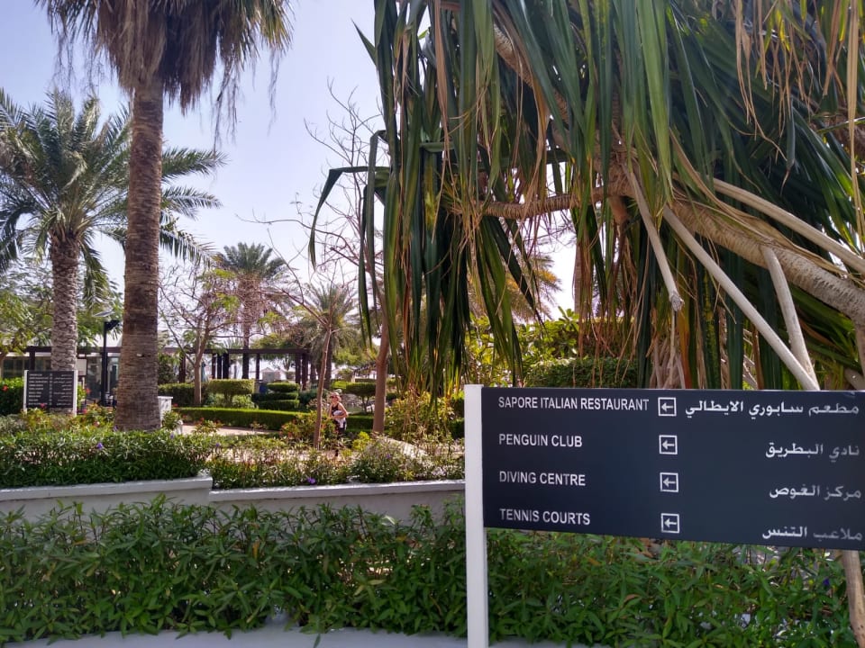 Gartenanlage Hotel Le Meridien Al Aqah Beach Resort