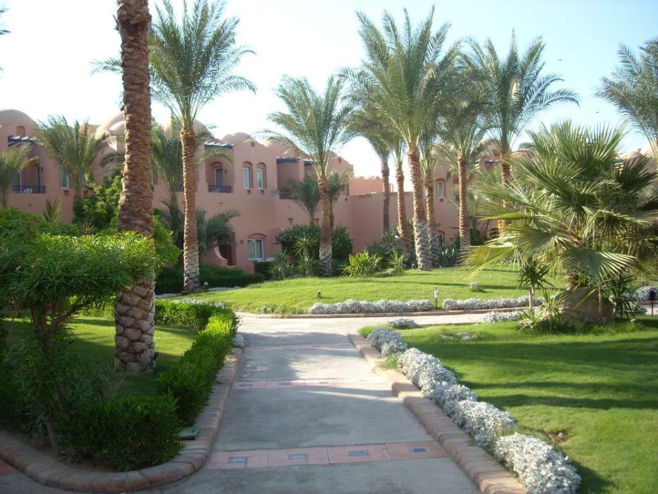 Makadi Oasis Jaz Makadi Oasis Resort