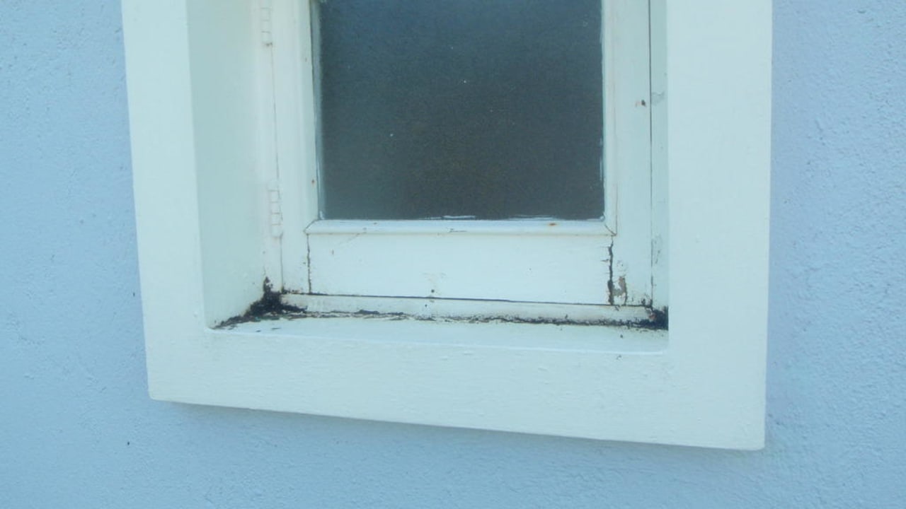 Schimmel auch von aussen Puerto Plata Village