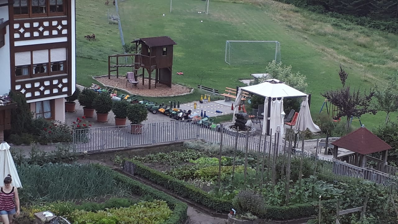 Ausblick Schlosshof - der Urlaubsbauernhof