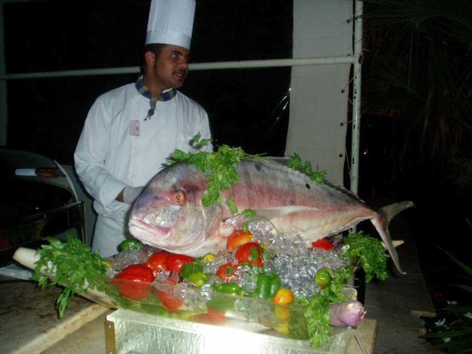 Großer Fisch Serenity Alpha Beach