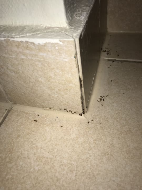 Zimmer ROBINSON ESQUINZO PLAYA