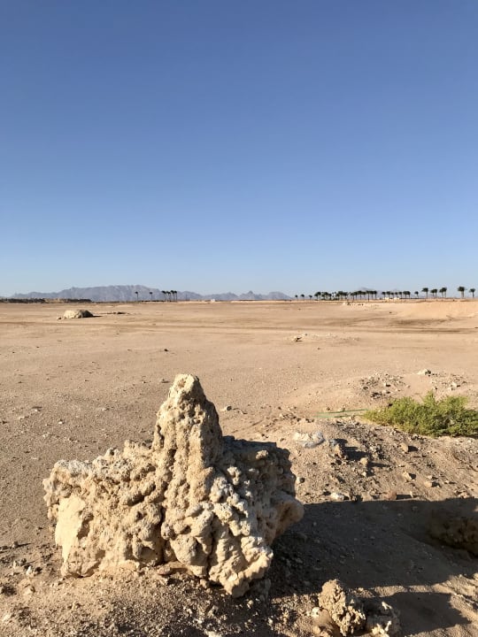 Ausblick Premier Le Reve Hotel & Spa