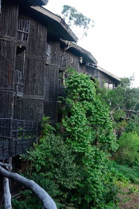 Baumhaus Shimba Hills Lodge