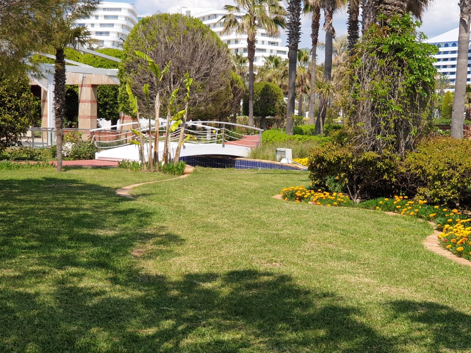 Gartenanlage Hotel Miracle Resort