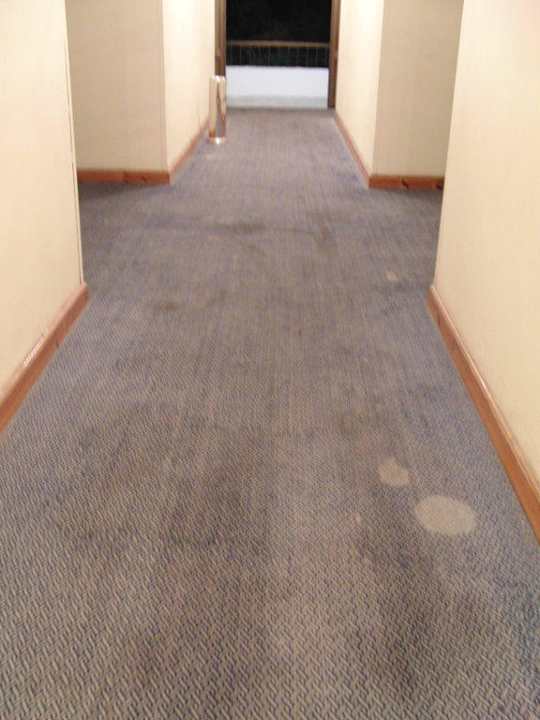 Sowas trübt den Eindruck Ghazala Beach