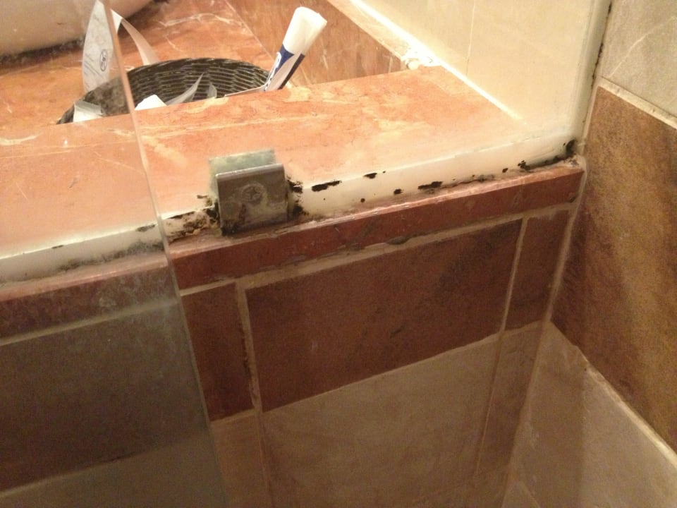 Schimmel Barceló Hotel Santo Domingo