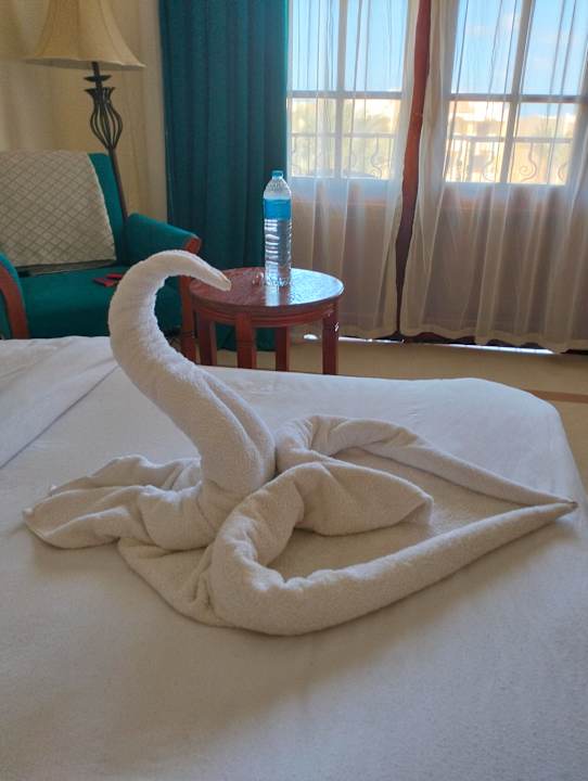 Zimmer Coral Hills Resorts & SPA