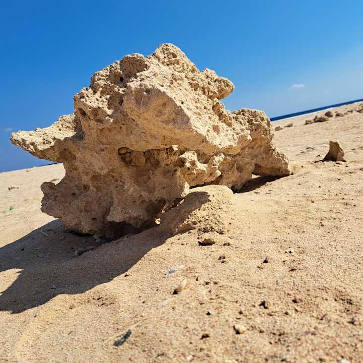 Strand Serenity Alpha Beach