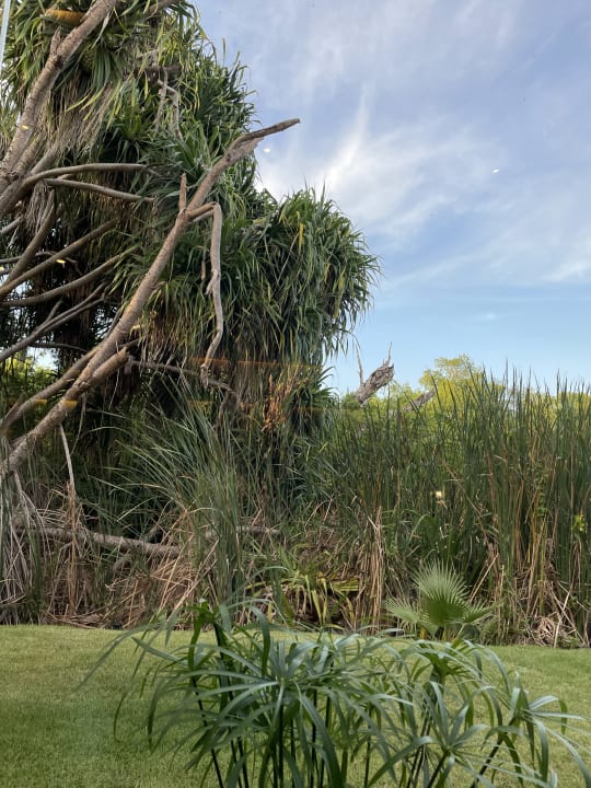 Gartenanlage Caribe Deluxe Princess