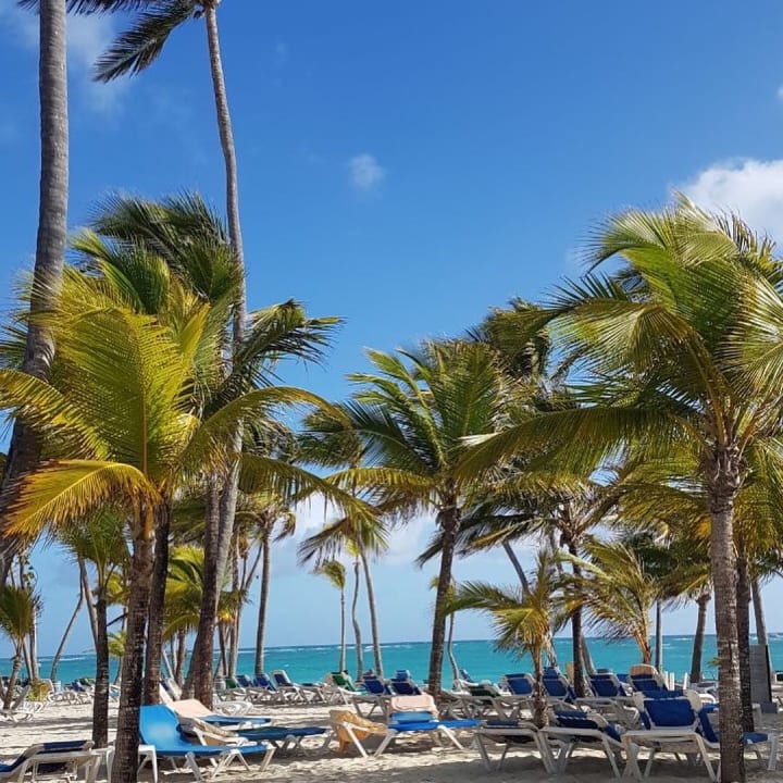 Strand Hotel Riu Bambu