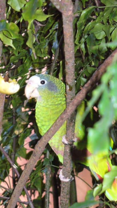 Morgendliche Begrüssung whala!boca chica