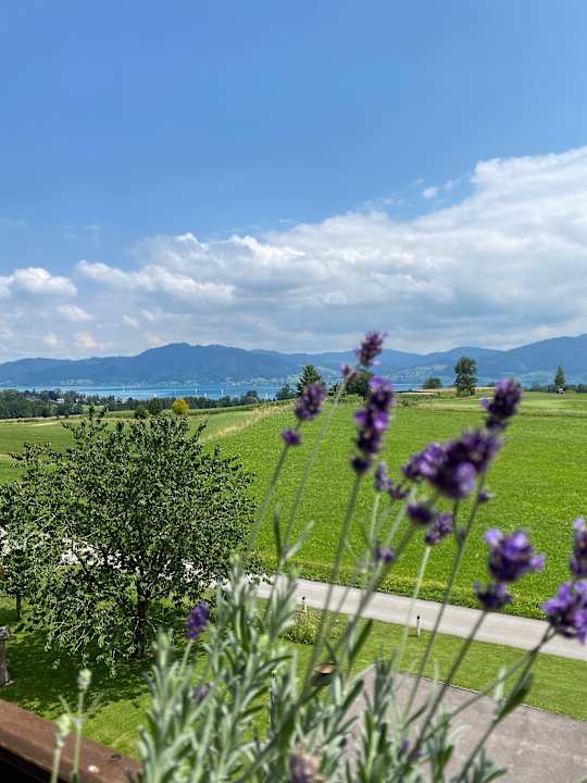 Ausblick Hotel Alpenblick Attersee