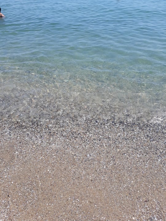 Strand Sentido Marea