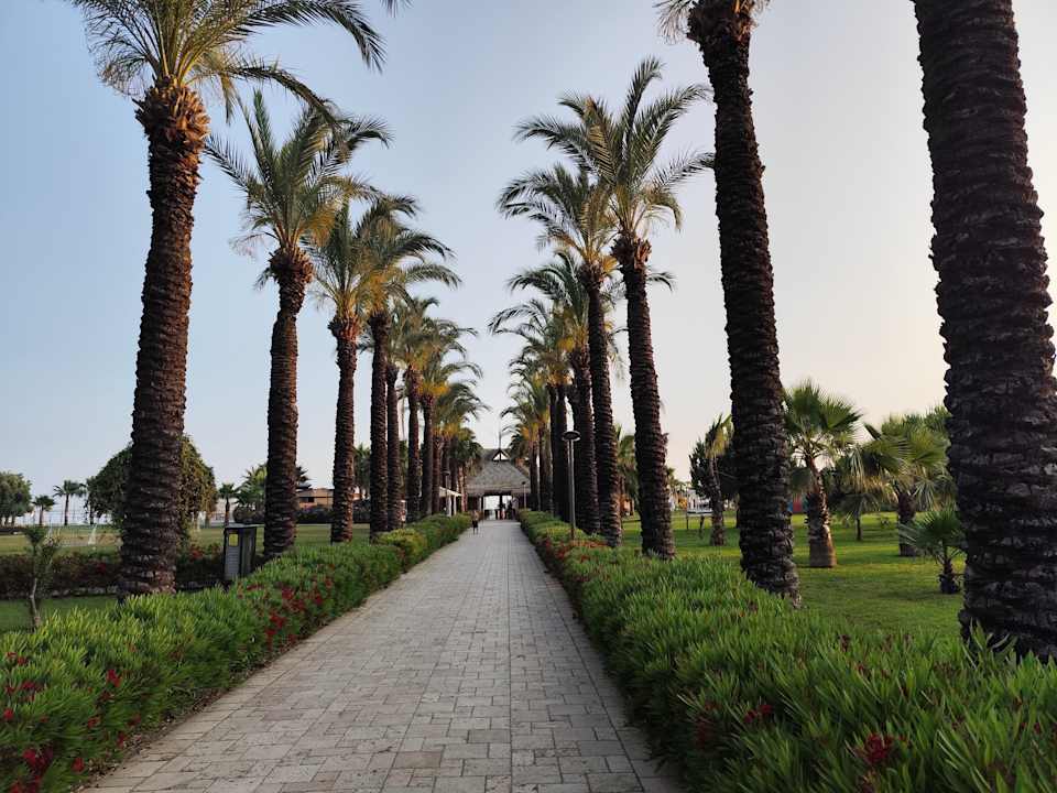 Gartenanlage Calimera Serra Palace