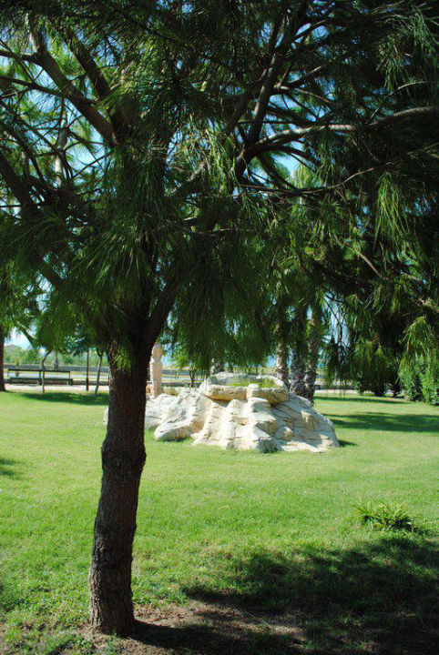 Сад Bella Resort & Spa